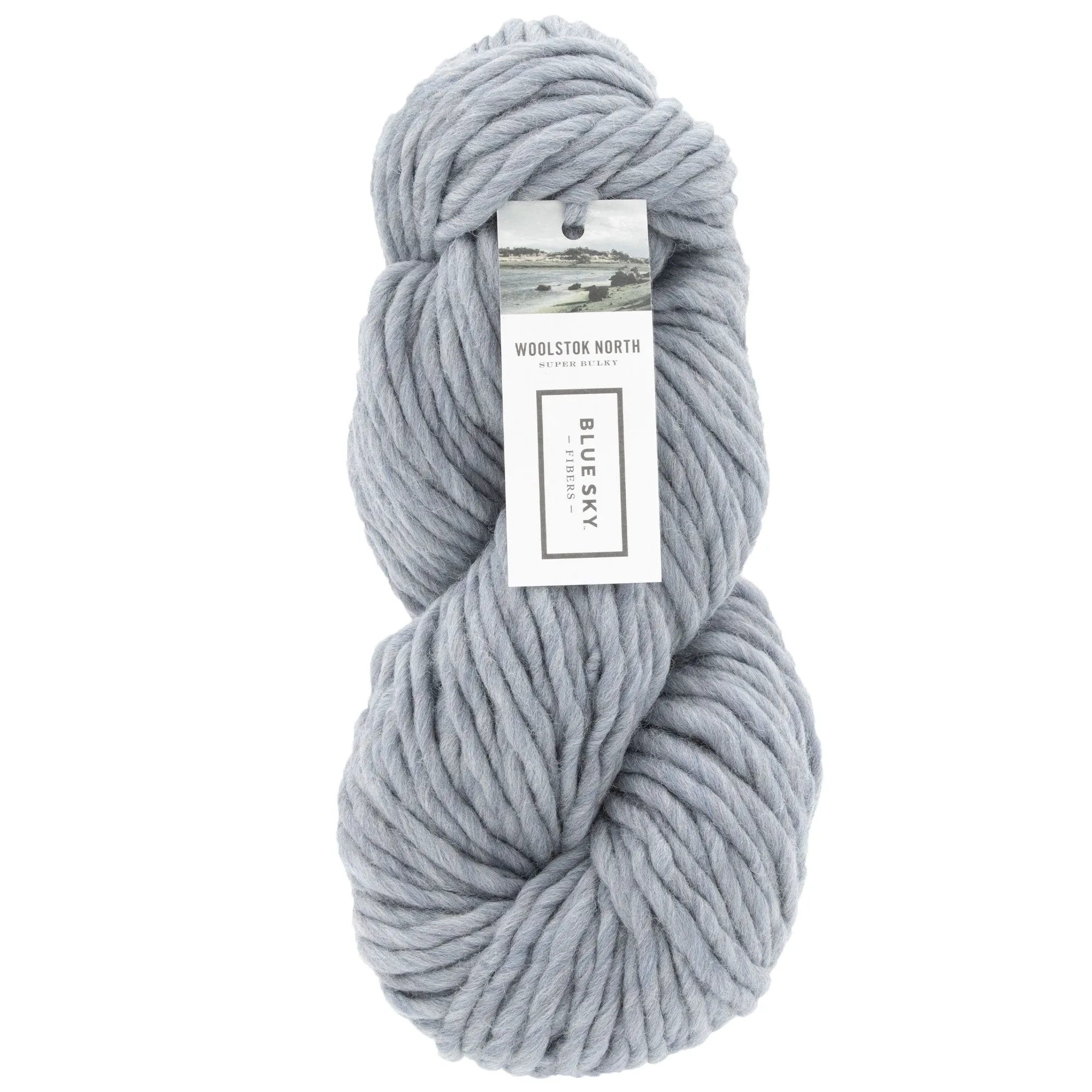 Blue Sky Fibers Woolstok North Yarn - 4324 Morning Frost