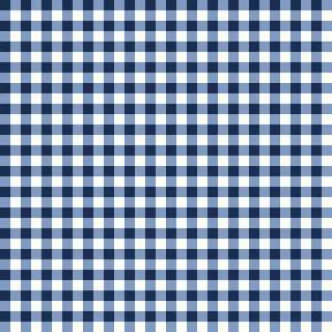 Gingham Weaves | 1/4" Gingham Check - Navy | Yarn-Dyed Cotton