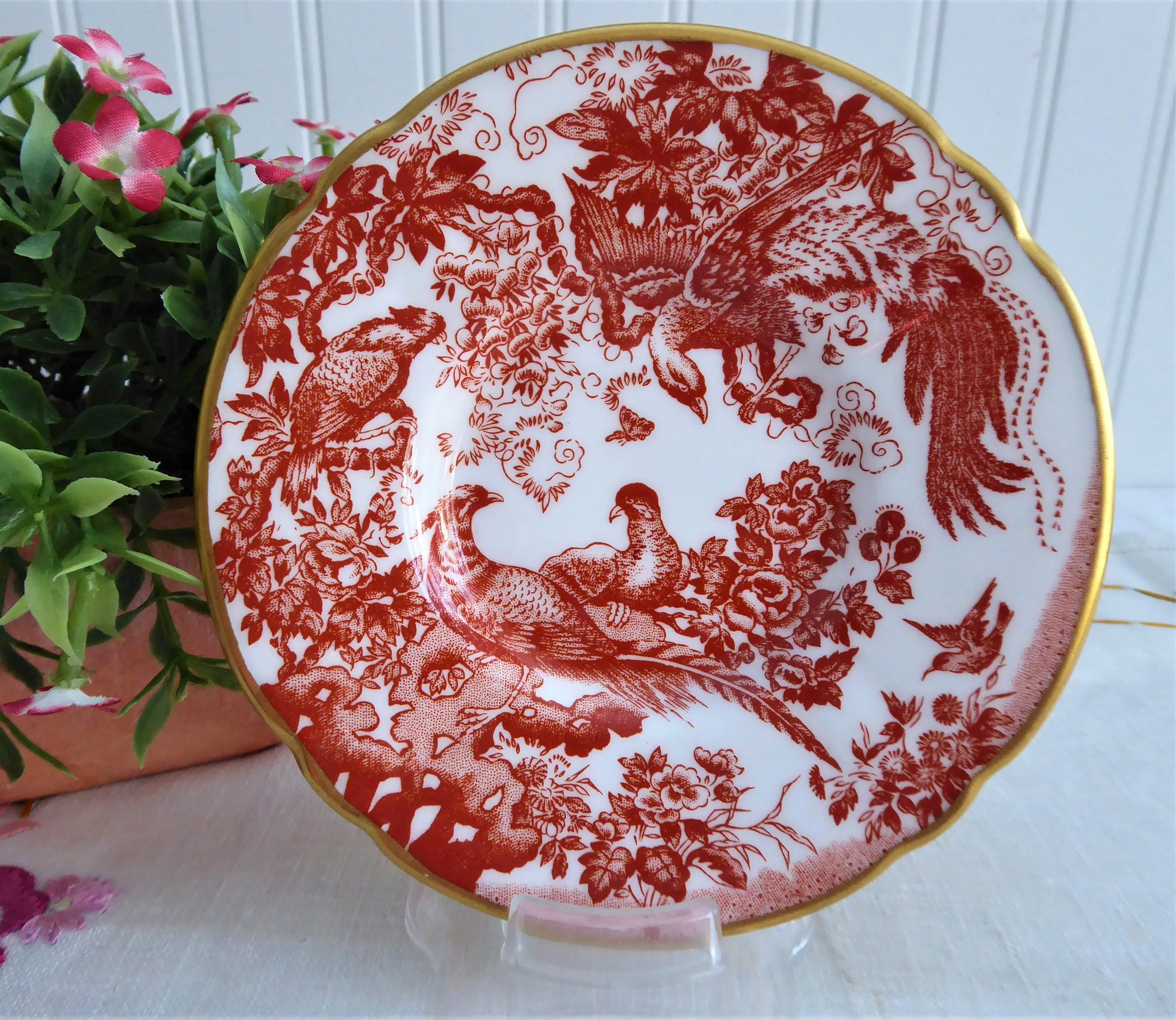 Red Aves Cup And Saucer Royal Crown Derby 1978 Birds Demitasse Charming Red White